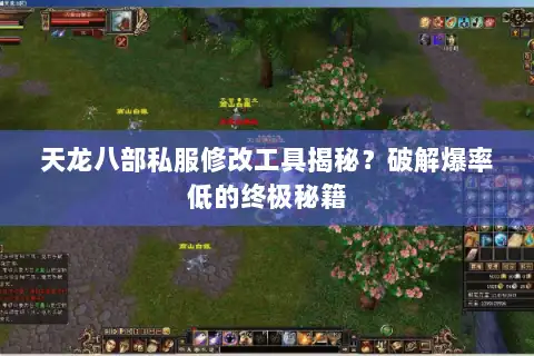 天龙八部私服修改工具揭秘？破解爆率低的终极秘籍