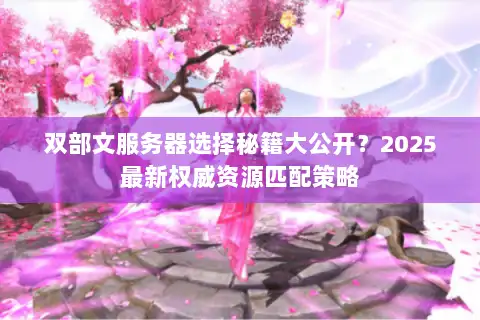 双部文服务器选择秘籍大公开？2025最新权威资源匹配策略