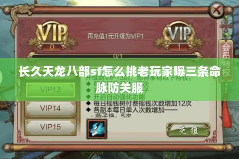 长久天龙八部sf怎么挑老玩家曝三条命脉防关服