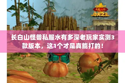 长白山怪兽私服水有多深老玩家实测3款版本,这1个才是真能打的! 长白山怪兽私服水有多深老玩家实测3款版本,这1个才是真能打的!