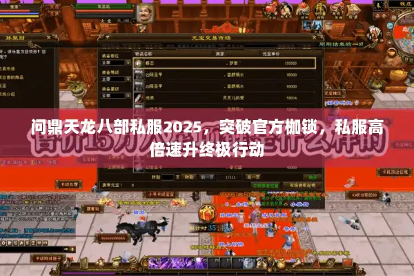 问鼎天龙八部私服2025，突破官方枷锁，私服高倍速升终极行动