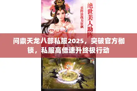问鼎天龙八部私服2025，突破官方枷锁，私服高倍速升终极行动
