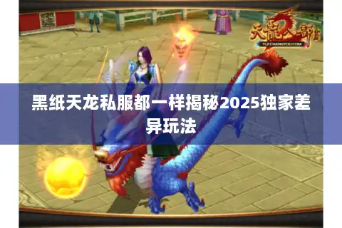 黑纸天龙私服都一样揭秘2025独家差异玩法