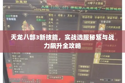 天龙八部3新技能，实战选服秘笈与战力飙升全攻略