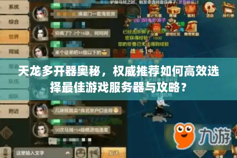 天龙多开器奥秘，权威推荐如何高效选择最佳游戏服务器与攻略？