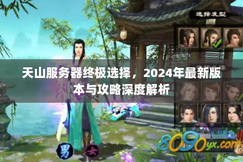 天山服务器终极选择，2024年最新版本与攻略深度解析