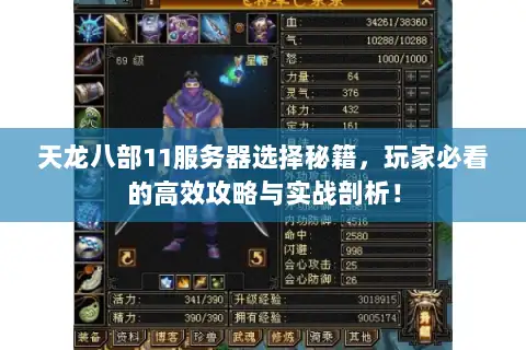 天龙八部11服务器选择秘籍，玩家必看的高效攻略与实战剖析！