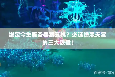 缘定今生服务器藏玄机？必选婚恋天堂的三大铁律！