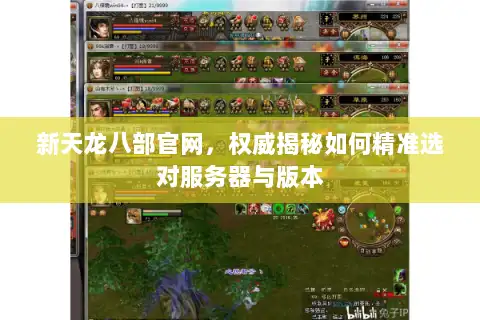 新天龙八部官网，权威揭秘如何精准选对服务器与版本