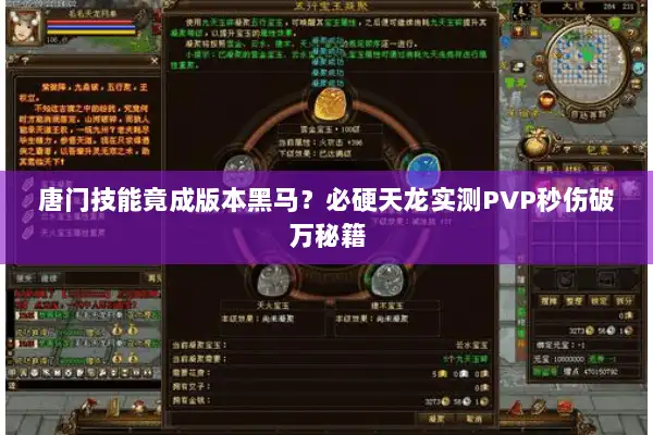 唐门技能竟成版本黑马?必硬天龙实测PVP秒伤破万秘籍 唐门技能竟成版本黑马?必硬天龙实测PVP秒伤破万秘籍