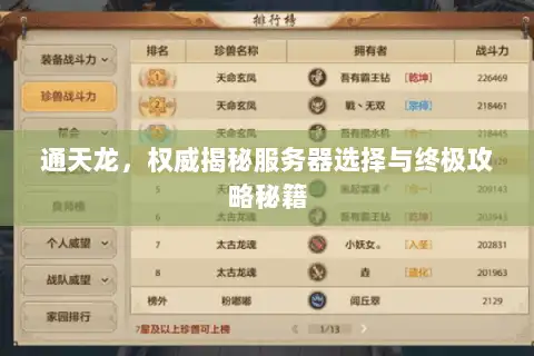 通天龙，权威揭秘服务器选择与终极攻略秘籍