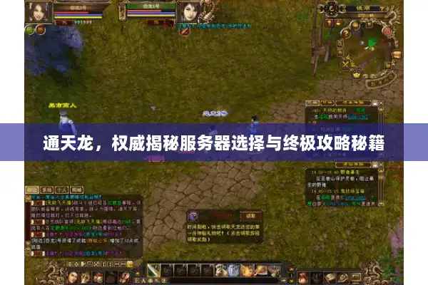 通天龙，权威揭秘服务器选择与终极攻略秘籍