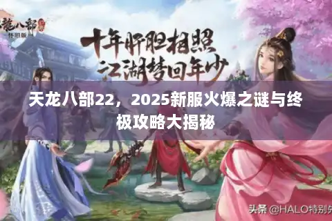 天龙八部22，2025新服火爆之谜与终极攻略大揭秘