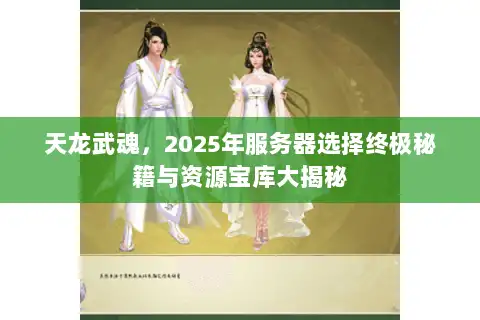 天龙武魂，2025年服务器选择终极秘籍与资源宝库大揭秘