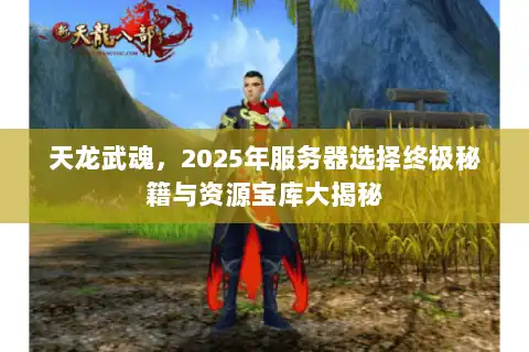 天龙武魂，2025年服务器选择终极秘籍与资源宝库大揭秘