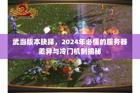 武当版本抉择，2024年必懂的服务器差异与冷门机制揭秘