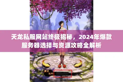 天龙私服网站终极揭秘，2024年爆款服务器选择与资源攻略全解析