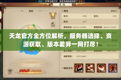 天龙官方全方位解析，服务器选择、资源获取、版本差异一网打尽！