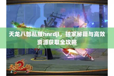 天龙八部私服hnrdjl，独家秘籍与高效资源获取全攻略