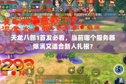 天龙八部1首发必看，当前哪个服务器爆满又适合新人扎根？