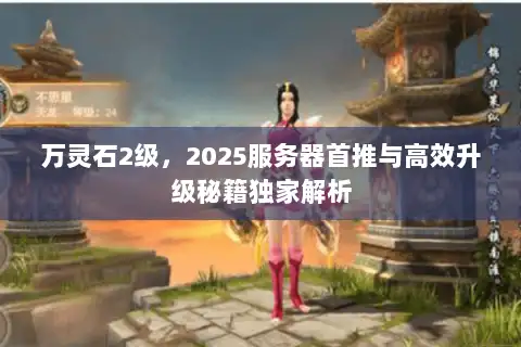 万灵石2级，2025服务器首推与高效升级秘籍独家解析