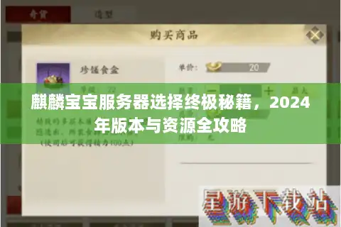 麒麟宝宝服务器选择终极秘籍,2024年版本与资源全攻略 麒麟宝宝服务器选择终极秘籍,2024年版本与资源全攻略