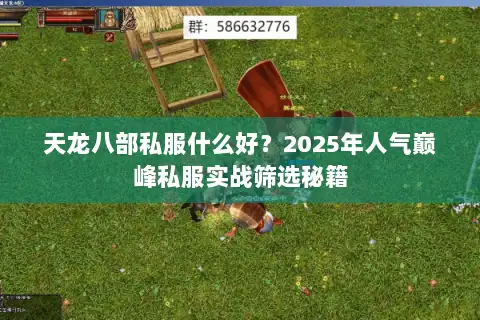 天龙八部私服什么好？2025年人气巅峰私服实战筛选秘籍