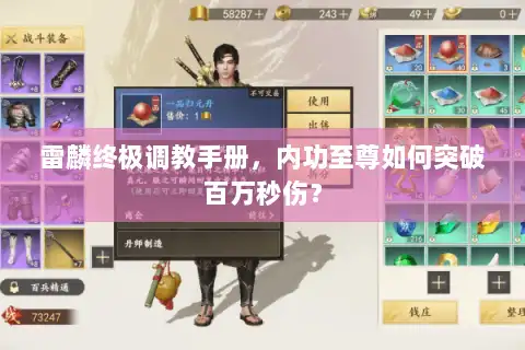 雷麟终极调教手册，内功至尊如何突破百万秒伤？