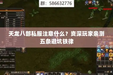 天龙八部私服注意什么？资深玩家亲测五条避坑铁律