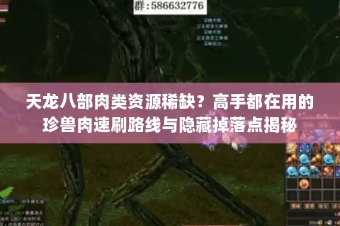 天龙八部肉类资源稀缺?高手都在用的珍兽肉速刷路线与隐藏掉落点揭秘 天龙八部肉类资源稀缺?高手都在用的珍兽肉速刷路线与隐藏掉落点揭秘