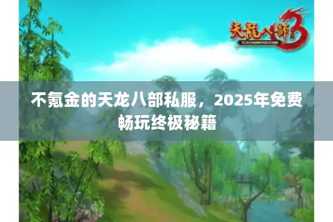 不氪金的天龙八部私服，2025年免费畅玩终极秘籍