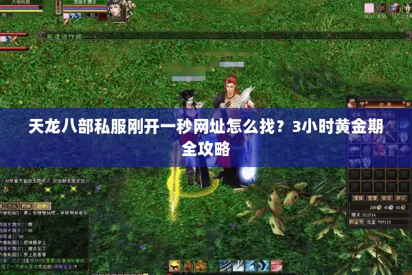 天龙八部私服刚开一秒网址怎么找？3小时黄金期全攻略
