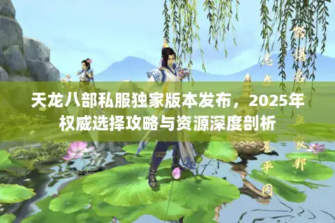 天龙八部私服独家版本发布，2025年权威选择攻略与资源深度剖析
