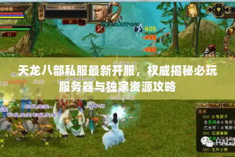 天龙八部私服最新开服，权威揭秘必玩服务器与独家资源攻略