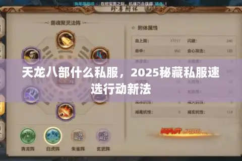 天龙八部什么私服，2025秘藏私服速选行动新法