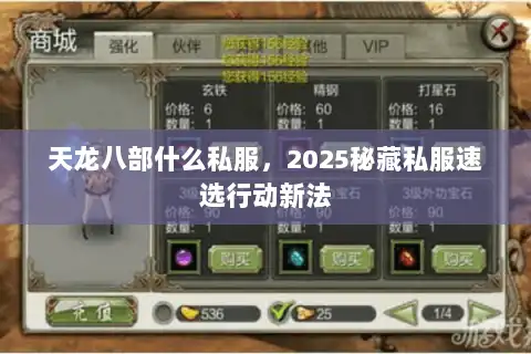 天龙八部什么私服，2025秘藏私服速选行动新法