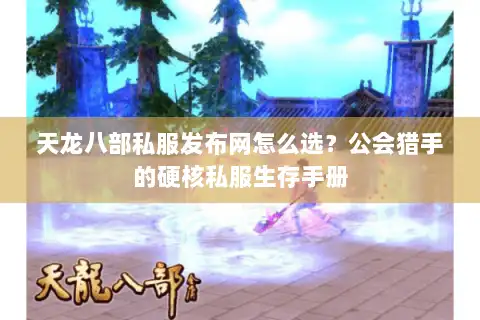 天龙八部私服发布网怎么选？公会猎手的硬核私服生存手册