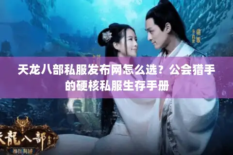 天龙八部私服发布网怎么选？公会猎手的硬核私服生存手册