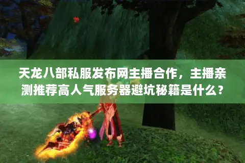 天龙八部私服发布网主播合作，主播亲测推荐高人气服务器避坑秘籍是什么？