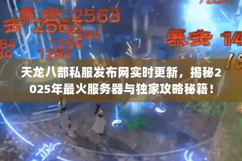 天龙八部私服发布网实时更新，揭秘2025年最火服务器与独家攻略秘籍！