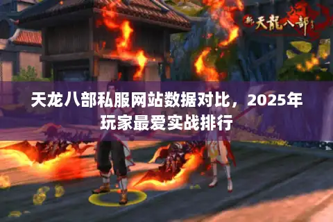 天龙八部私服网站数据对比，2025年玩家最爱实战排行