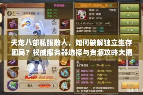 天龙八部私服散人，如何破解独立生存困局？权威服务器选择与资源攻略大揭秘