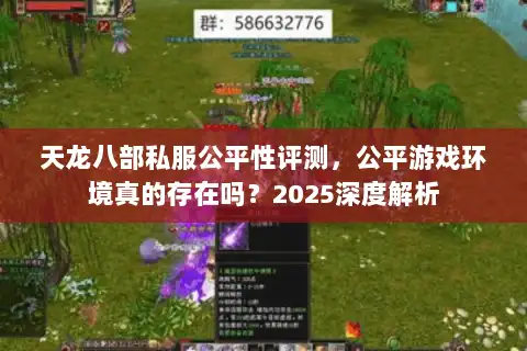 天龙八部私服公平性评测，公平游戏环境真的存在吗？2025深度解析