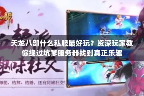 天龙八部什么私服最好玩？资深玩家教你绕过坑爹服务器找到真正乐趣