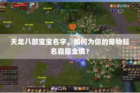 天龙八部宝宝名字，如何为你的宠物起名霸服全境？