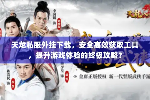 天龙私服外挂下载，安全高效获取工具，提升游戏体验的终极攻略？