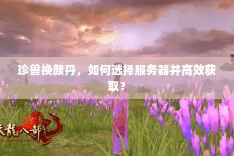 珍兽换颜丹，如何选择服务器并高效获取？