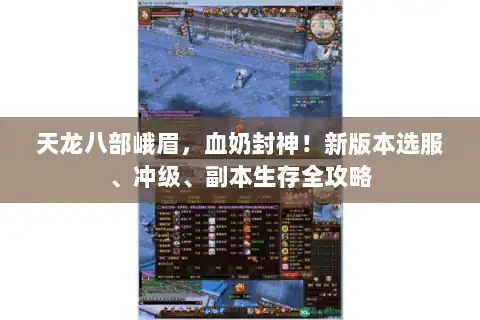天龙八部峨眉，血奶封神！新版本选服、冲级、副本生存全攻略