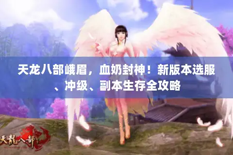天龙八部峨眉，血奶封神！新版本选服、冲级、副本生存全攻略