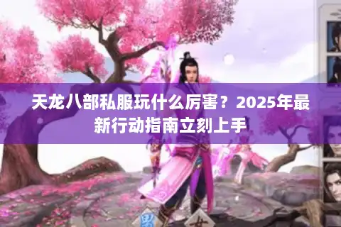 天龙八部私服玩什么厉害？2025年最新行动指南立刻上手